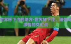 世界杯下注的地方-世界杯下注，理性与激情的交汇点