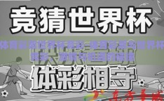 体育彩票世界杯竞彩-体育彩票与世界杯竞彩，激情与机遇的碰撞