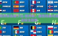 世界杯去哪下注-世界杯，理性观赛与合法投注指南