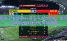 微信下注世界杯-微信下注世界杯，数字时代的足球狂欢与风险警醒
