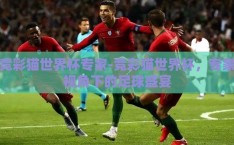 竞彩猫世界杯专家-竞彩猫世界杯，专家视角下的足球盛宴