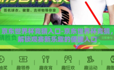 京东世界杯竞猜入口-京东世界杯竞猜，解锁观赛新乐趣的便捷入口