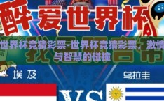 世界杯竞猜彩票-世界杯竞猜彩票，激情与智慧的碰撞