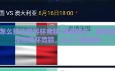 怎么投注世界杯竞猜-掌握技巧，轻松投注世界杯竞猜，从入门到进阶
