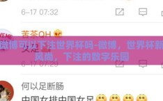 微博可以下注世界杯吗-微博，世界杯新风尚，下注的数字乐园