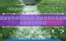 足球世界杯竞猜网站-足球世界杯竞猜网站的魅力与挑战