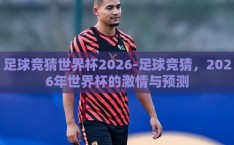 足球竞猜世界杯2026-足球竞猜，2026年世界杯的激情与预测