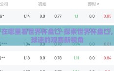 在哪里看世界杯盘口-探索世界杯盘口，球迷的观赛新视角