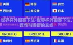世界杯外围赛下注-世界杯外围赛下注，理性与激情的交织