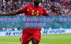 体彩世界杯-体育彩票与世界杯，激情与理性的碰撞