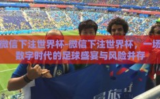 微信下注世界杯-微信下注世界杯，一场数字时代的足球盛宴与风险并存