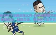 世界杯下注网站怎么开-世界杯热潮下的智慧投注，创建合法、安全的下注平台指南