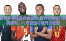 世界杯赛程及竞猜赔率-世界杯赛程与竞猜赔率，一场智慧与运气的较量