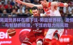 男篮世界杯在哪下注-男篮世界杯，激情与智慧的碰撞，下注的魅力与风险