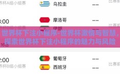 世界杯下注小程序-世界杯激情与智慧，探索世界杯下注小程序的魅力与风险