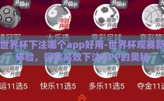 世界杯下注哪个app好用-世界杯观赛新体验，探索高效下注APP的奥秘