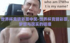 世界杯竞猜彩票中奖-世界杯竞猜彩票，梦想与现实的碰撞