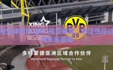 星空体育合法吗-星空体育，合法性探讨与未来展望