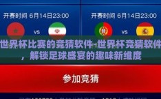 世界杯比赛的竞猜软件-世界杯竞猜软件，解锁足球盛宴的趣味新维度
