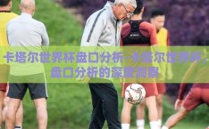 卡塔尔世界杯盘口分析-卡塔尔世界杯，盘口分析的深度洞察