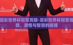 足彩世界杯冠军竞猜-足彩世界杯冠军竞猜，激情与智慧的碰撞