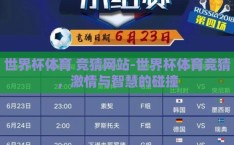 世界杯体育 竞猜网站-世界杯体育竞猜，激情与智慧的碰撞