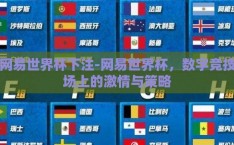 网易世界杯下注-网易世界杯，数字竞技场上的激情与策略