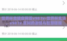 世界杯竞猜官网首v98 tv-世界杯竞猜，v98 tv 官网的激情与智慧碰撞