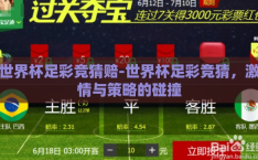 世界杯足彩竞猜赔-世界杯足彩竞猜，激情与策略的碰撞