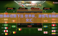 世界杯在那下注-世界杯，激情与策略的交汇
