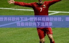 世界杯软件下注-世界杯观赛新体验，理性看待软件下注现象