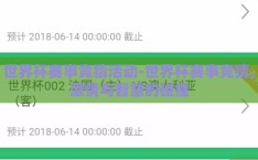 世界杯赛事竞猜活动-世界杯赛事竞猜，激情与智慧的碰撞