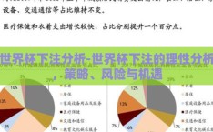 世界杯下注分析-世界杯下注的理性分析，策略、风险与机遇