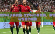 世界杯决赛竞猜-世界杯决赛竞猜，激情与智慧的碰撞