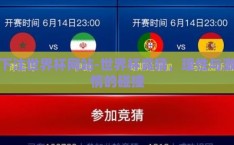 下注世界杯网站-世界杯竞猜，理性与激情的碰撞