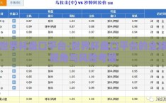 世界杯盘口平台-世界杯盘口平台的全球视角与风险考量