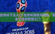 世界杯下注入口-世界杯激情与理性，安全下注的智慧之门