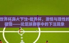 世界杯真人下注-世界杯，激情与理性的碰撞——论足球赛事中的下注现象