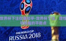 世界杯下注在哪知乎-世界杯下注，理性与乐趣的平衡点