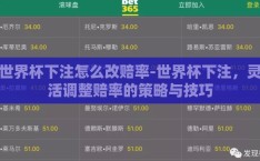 世界杯下注怎么改赔率-世界杯下注，灵活调整赔率的策略与技巧