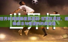 世界杯竞猜哪里能买到-世界杯竞猜，揭秘合法与便捷的购买渠道