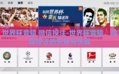 世界杯竞猜 微信投注-世界杯竞猜，微信投注的乐趣与挑战