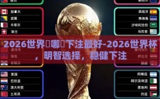 2026世界盃哪裡下注最好-2026世界杯，明智选择，稳健下注