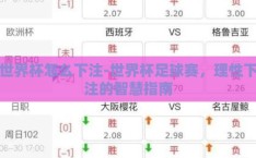 世界杯怎么下注-世界杯足球赛，理性下注的智慧指南