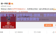 微博可以下注世界杯吗-微博，世界杯的数字娱乐新舞台