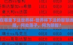 在哪里下注世界杯-世界杯下注的智慧选择，何处落子，何为明智？