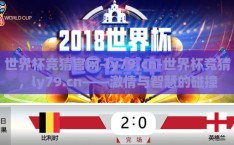 世界杯竞猜官网-ly79,cn-世界杯竞猜，ly79.cn——激情与智慧的碰撞