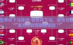 世界杯下注途径-世界杯下注，理性与安全并行的观赛新体验