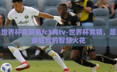 世界杯竞猜虽fc3典tv-世界杯竞猜，足球狂欢的智慧火花