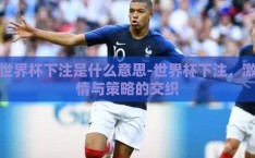 世界杯下注是什么意思-世界杯下注，激情与策略的交织